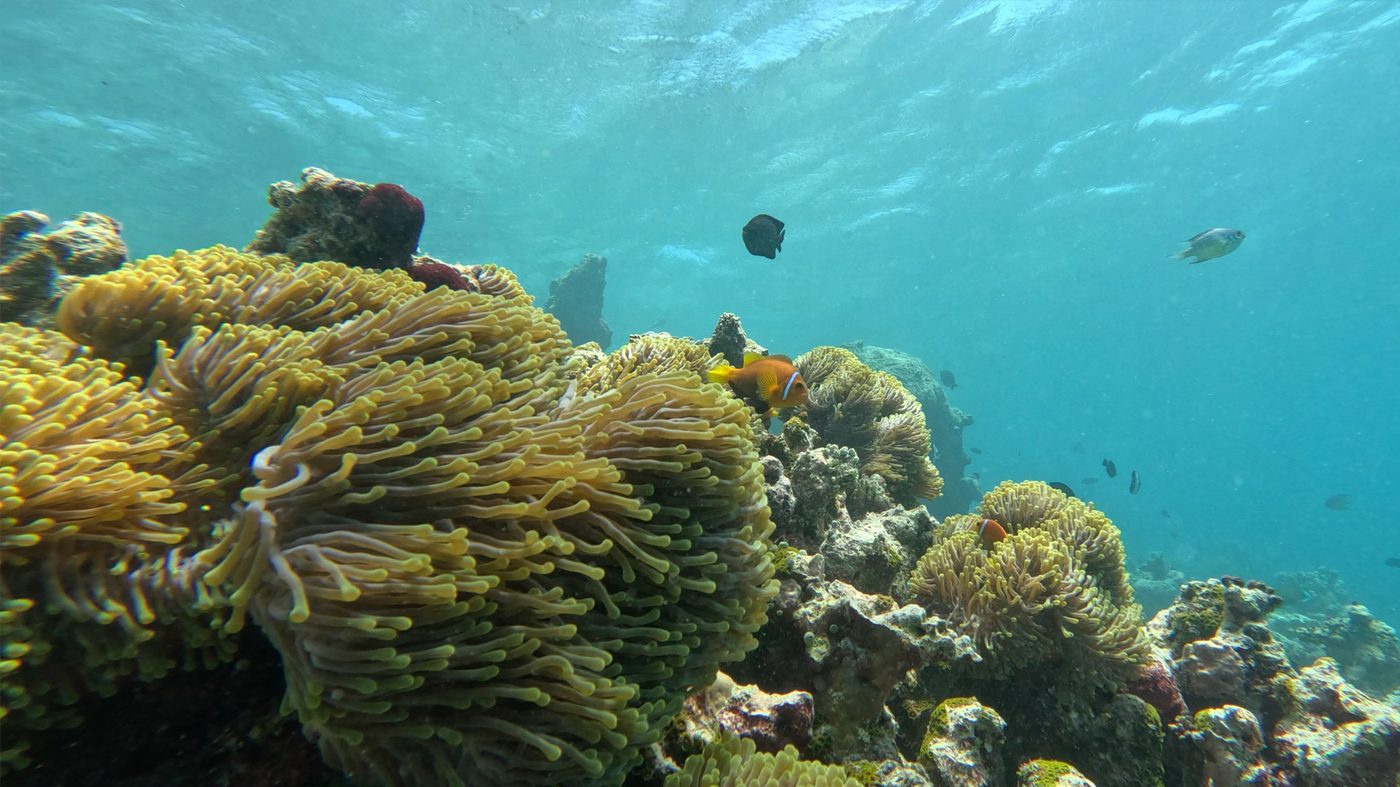 Wreck diving
